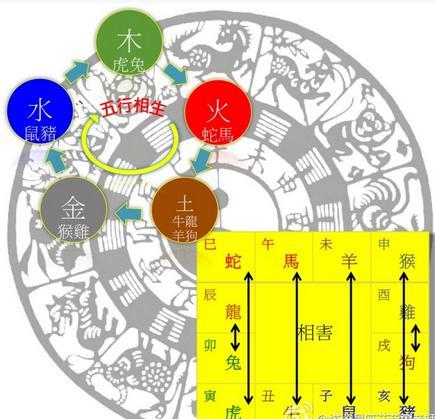 仙羊下界遍地春，一举五合猴蛇战指代表什么生肖，实时解答解释落实_k559.90.78